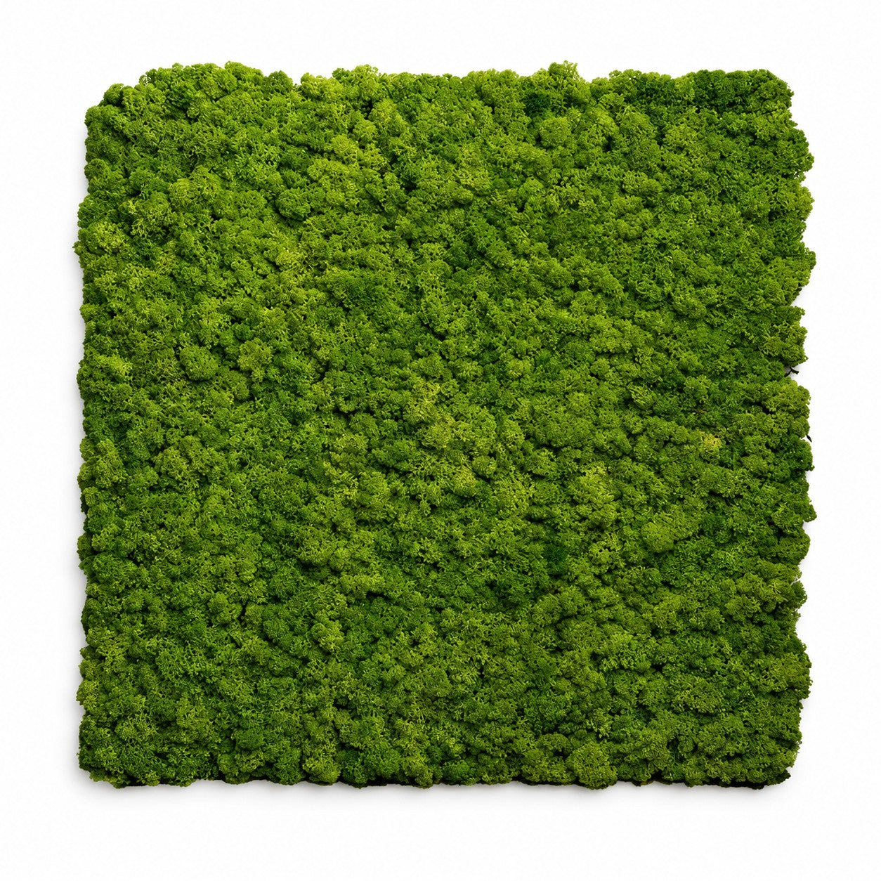 Pannello decorativo fonoassorbente acustico Set 2 pz 60x60 cm effetto muschio sintetico erba artificiale
