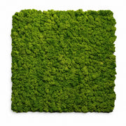 Pannello decorativo fonoassorbente acustico Set 2 pz 60x60 cm effetto muschio sintetico erba artificiale