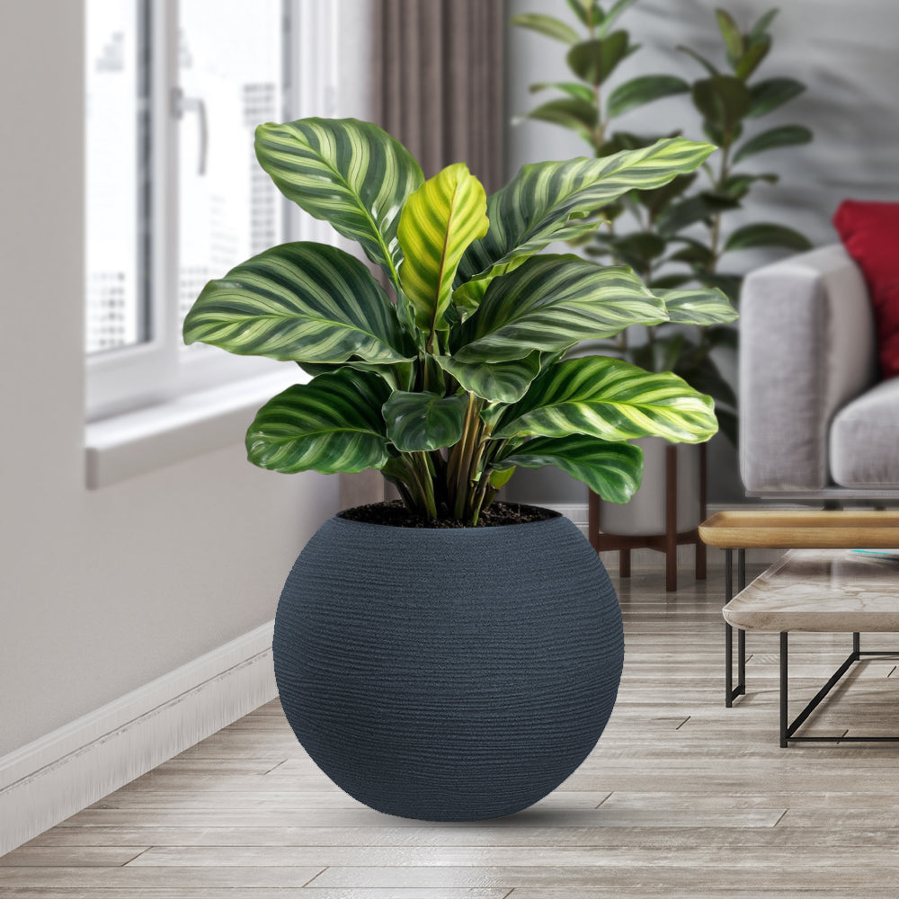 divina garden vaso in resina botticelli grigio d 40x33h ean 8056157808954