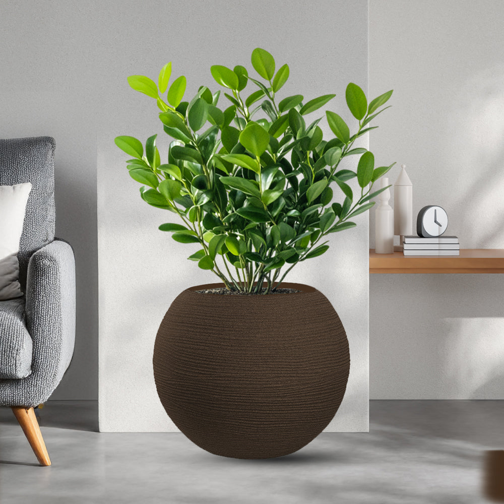 divina garden vaso in resina botticelli marrone d 40x33h ean 8056157808992