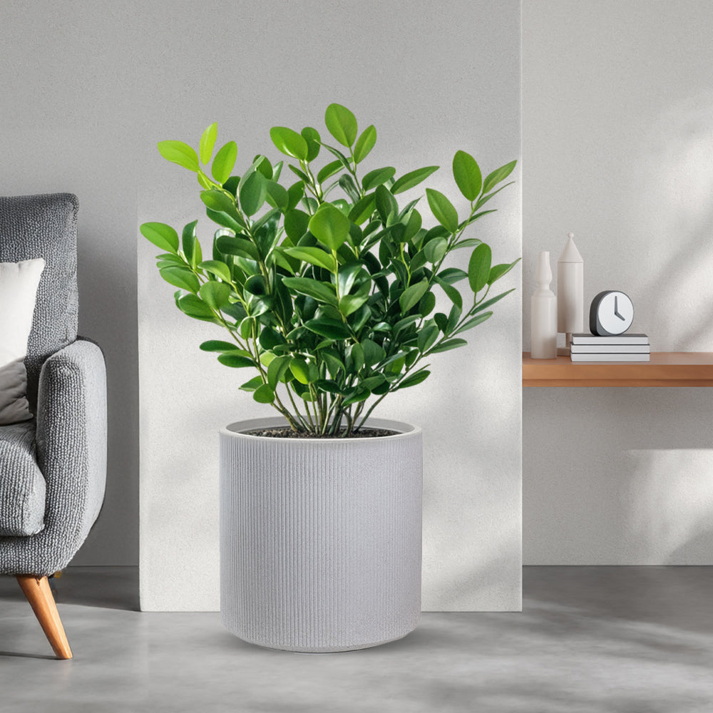 divina garden vaso in resina modigliani beige d 36x35h ean 8056157808930