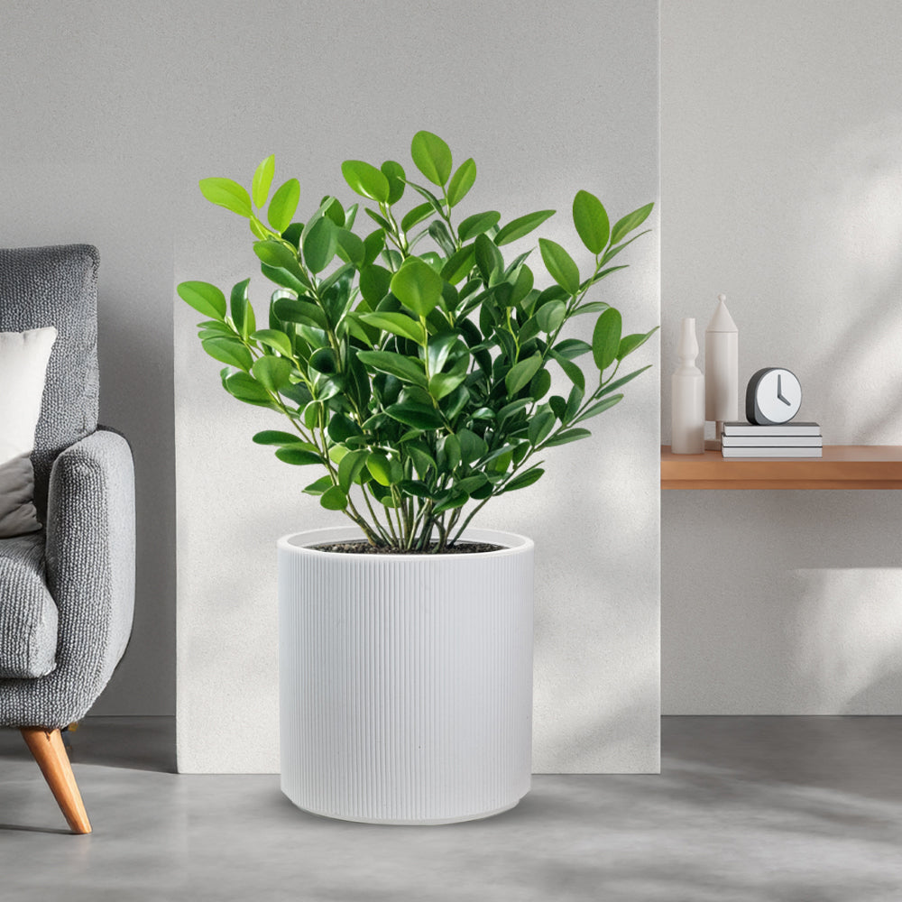 divina garden vaso in resina modigliani bianco d 36x35h ean 8056157808923