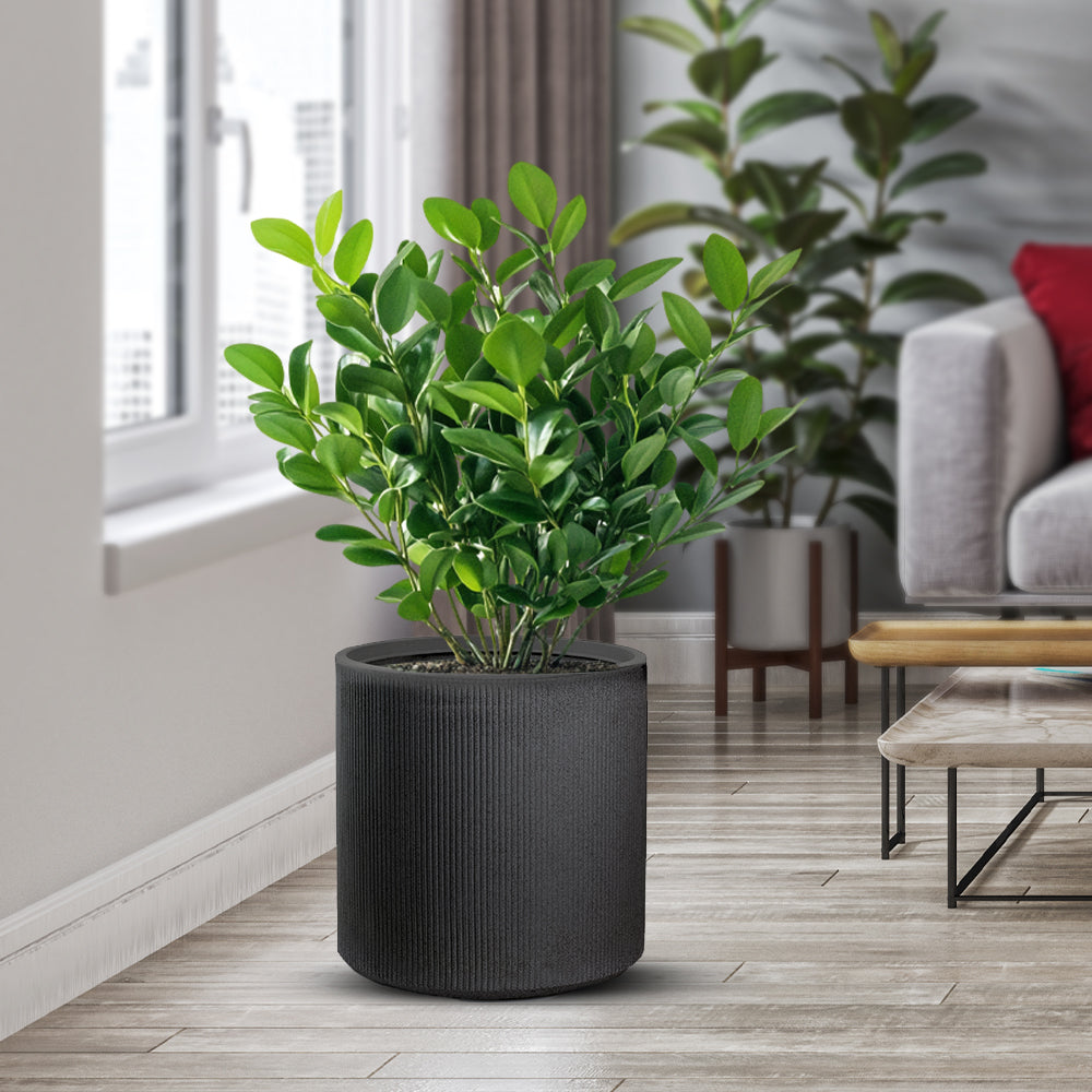 divina garden vaso in resina modigliani grigio d 36x35h ean 8056157808947