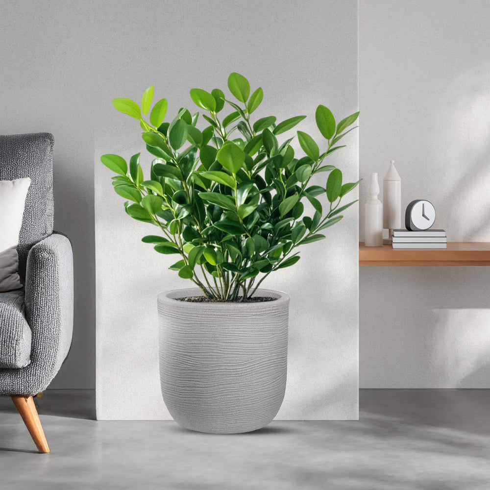 divina garden vaso in resina raffaello beige d 35x34h ean 8056157809029