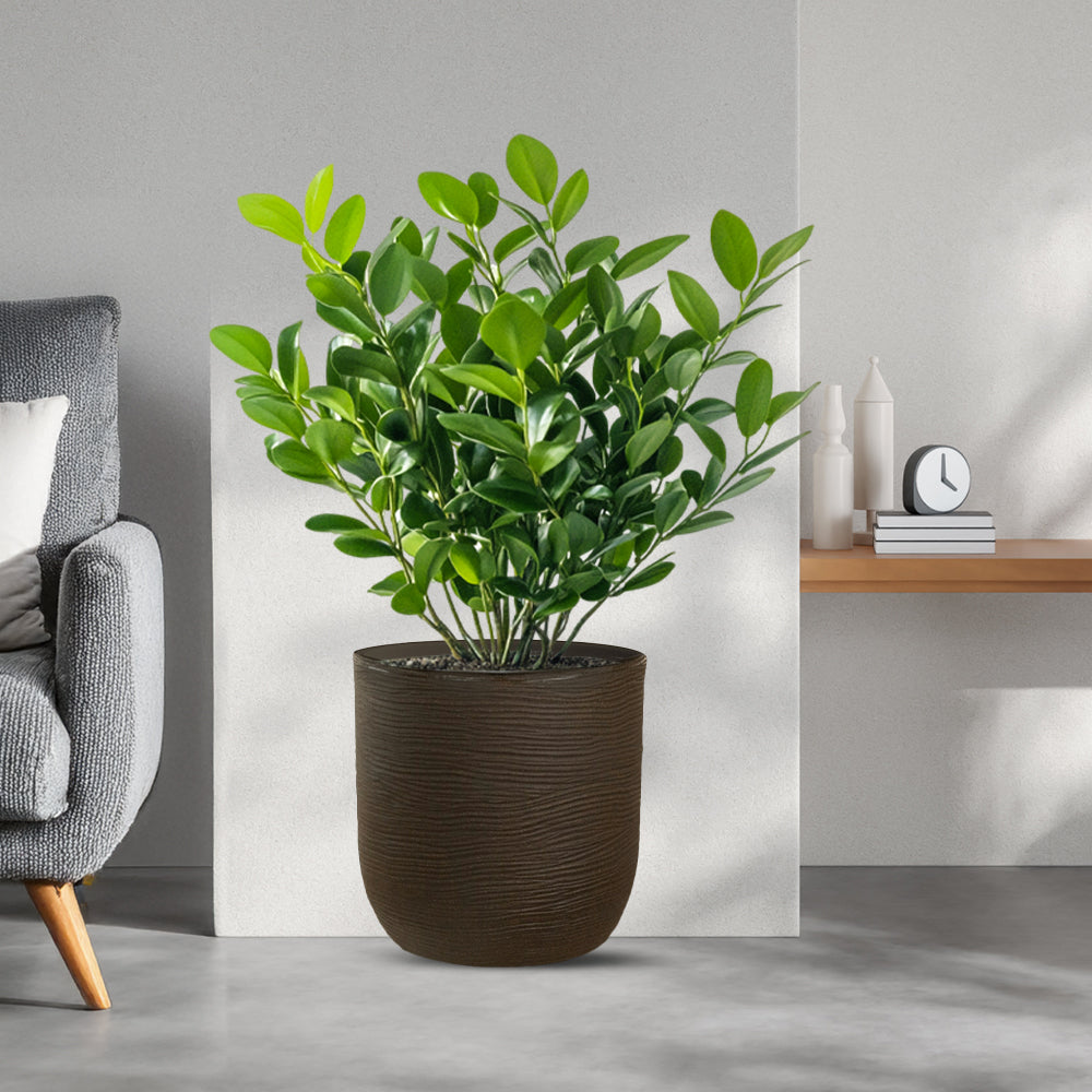 divina garden vaso in resina raffaello marrone d 35x34h ean 8056157809043