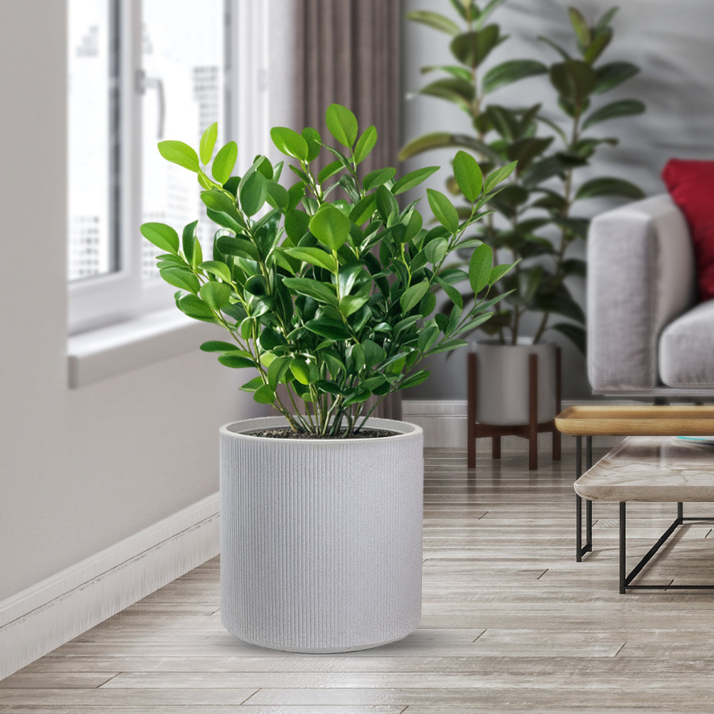 divina garden vaso in resina modigliani beige d 36x35h ean 8056157808930