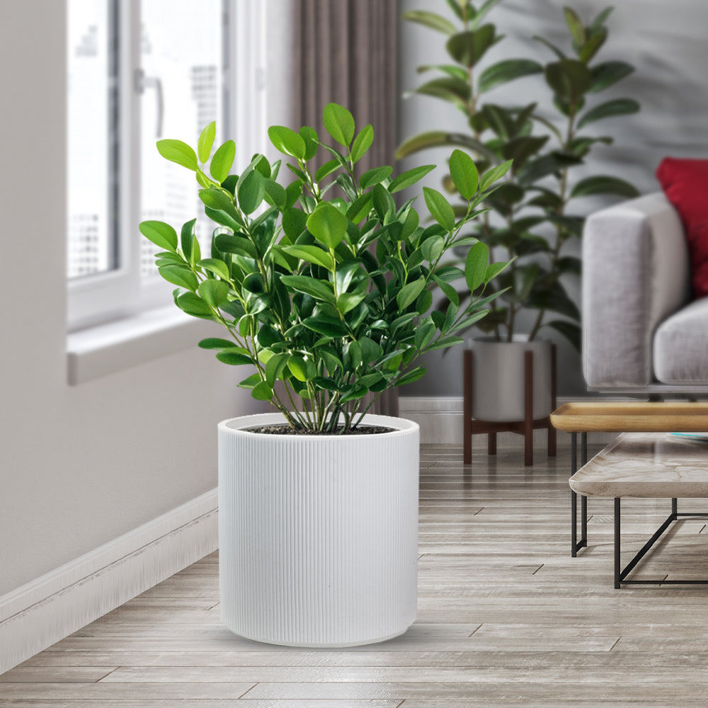 divina garden vaso in resina modigliani bianco d 36x35h ean 8056157808923